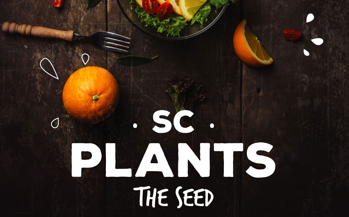 sc plants the seed