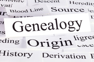 genetic genealogy